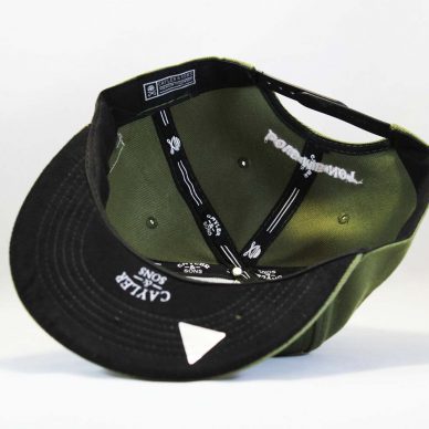 купить Snapback роза зеленая Cayler and Sons green rose