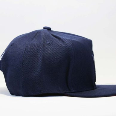 вест кост жест рукой кепка snapback westcoast cayler and sons синяя с руками жест